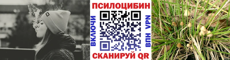 Псилоцибиновые грибы GOLDEN TEACHER  KRAKEN маркетплейс  Сасово 